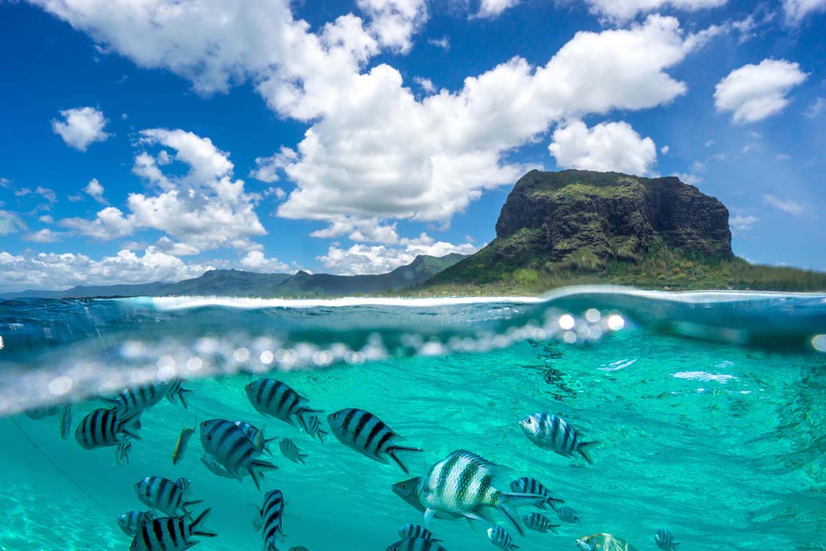 le morne sea | Taxi Service in Mauritius